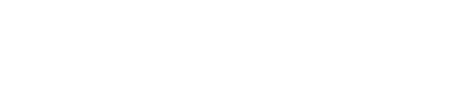 ProdigyLink